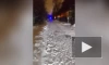 Появилось видео, как полыхает дом на Тютчевской в Петербурге