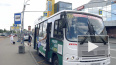Петербуржцы обеспокоены отменой маршрутных автобусов ...