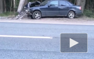 На Приморском шоссе водитель "Мерседеса" протаранил столб 