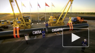 Путин разрешил "Газпрому" готовить строительство "Силы Сибири – 2"
