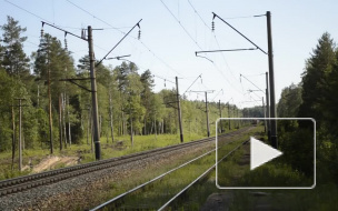 Белгородская трагедия: женщина погибла, спасая сына из-под поезда