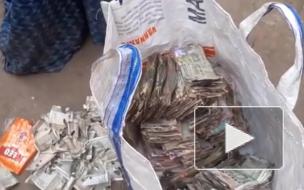 Насекомые забрались в сундук и съели полмиллиона рублей