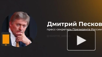 Песков: родство с иноагентом не должно становиться "именем нарицательным"