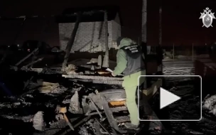 В пожаре в Домодедово погибли два человека