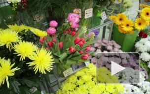 Что подарить на 8 марта жене, а что любовнице? Советы флориста