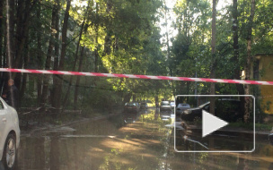 В Петербурге в двух районах бьют фонтаны кипятка из-за испытаний теплосетей