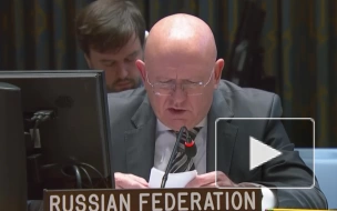 Небензя сообщил, что Россия в СБ ООН поднимет тему положения детей в конфликте на Украине