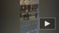 Видео: петербуржцы устроили массовую драку ночью на Васи...