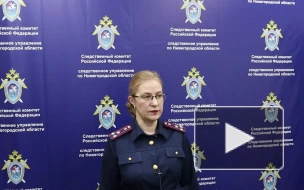 В Нижегородской области задержали подозреваемого в убийстве муниципального депутата Розина