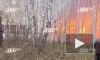 В Красноярском крае загорелся экопарк-отель