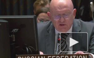 Небензя: ООН получила для нуждающихся 20% от того, сколько Запад потратил на оружие Киеву