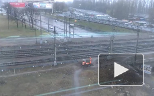 Видео и фото апрельского снега в Петербурге заполонили Интернет