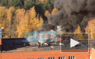 В Сосновом Бору вспыхнуло здание прокуратуры и городского суда