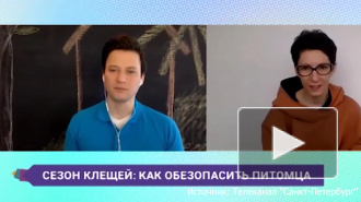 Ветеринар рассказала, как обезопасить домашних питомцев от клещей