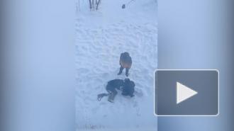 В Пермском крае проверят видео, где двое подростков избивают сверстника