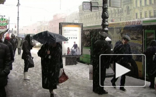 Зиме дорогу! Петербург во власти первого за сезон снегопада