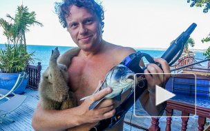 Бизнесмен Полонский хочет отсудить у журналиста Соловьева 200 млн рублей