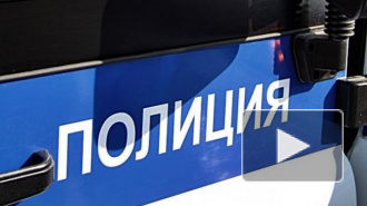 В Петербурге двое мужчин дважды переехали на "Тойоте" очевидца драки 