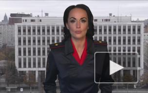 В России у крупного поставщика изъяли более тонны наркотиков