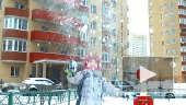 Один чудесный зимний день в Шушарах