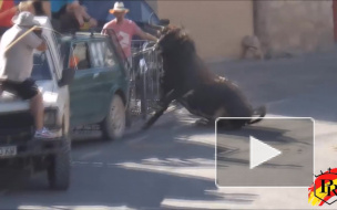 Бычок ударил в бочок.