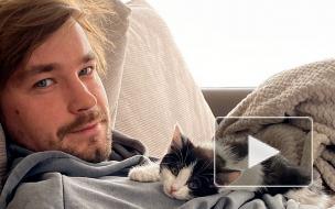 Александр Петров упал на красной дорожке кинофестиваля