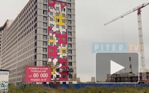 В Мурино нарисовали самое большое в мире граффити с ромашками