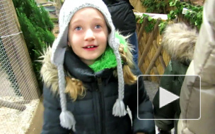 Weihnachtsmarkt БаварияАвстрия - YouTube