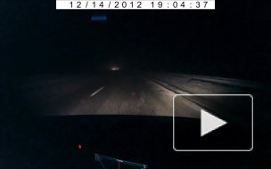 Сюрприз в ночном тумане.