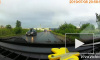 Видео: водитель пропустил уток, которые переходили дорогу в Кудрово