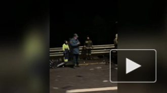 На трассе Москва-Петербург столкнулись грузовики. Погибли два человека