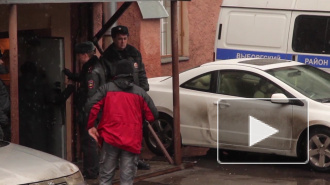 Жуткие новости из Петербурга: грабитель избил школьника 