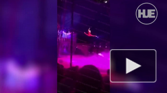 Гимнастка петербургского цирка сорвалась с большой высоты во время выступления 