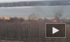 Появилось видео пожара на берегу Лахтинского разлива