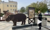 Бегемот, трамвай и кактус: в Петроградском районе открыли "Блокадный маршрут"