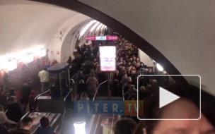 Видео: в "час пик" на у эскалатора на "Площади Восстания" образовалась очередь 