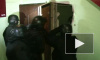 Задержанный в Петербурге наркоторговец выкинул в окно 2 кг героина
