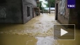 Более 4,2 млн человек пострадали от наводнения в Индии