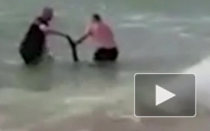 Чудесное спасение тонущего кенгуренка попало на видео
