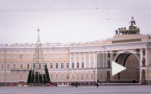 Урбанистичная елка снова изуродовала Дворцовую площадь