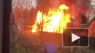 Во Всеволожске сгорел заброшенный дом 