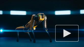 Стартовали продажи робособаки Boston Dynamics за 74,5 тысячи долларов