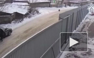 Иркутского педофила, который похитил 9-летнюю девочку, отправили в психушку 