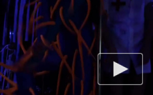 На Петроградской больше не будет "Забава бара": клуб обязали покинуть городскую набережную