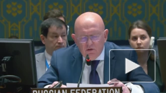 Небензя сравнил Украину с "Исламским государством"* из-за использования методов терроризма
