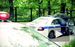 В Нижегородской области мотоциклист столкнулся с рогатым лосем, пассажир погиб вместе с животным