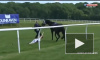 Видео: журналистка смогла остановить коня на скаку отделавшись одним ударом