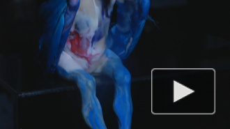 ЛЮБИ МЕНЯ, КАК Я ТЕБЯ: выставка Ирины Дрозд в Музее сновидений Зигмунда Фрейда 