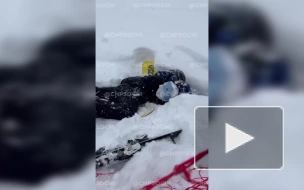 В Сочи сноубордисты спасли ребенка, провалившегося в глубокий снег