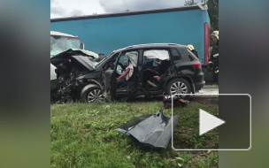 Видео: на Нарве пенсионер устроил массовое ДТП, есть пострадавшие